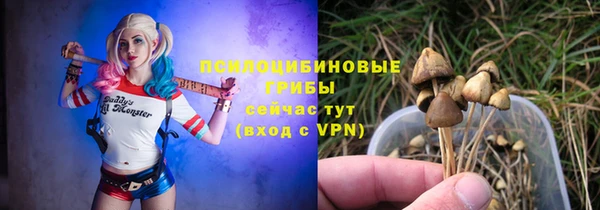шишки Алексин