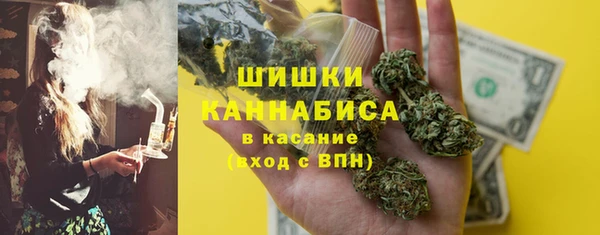шишки Алексин