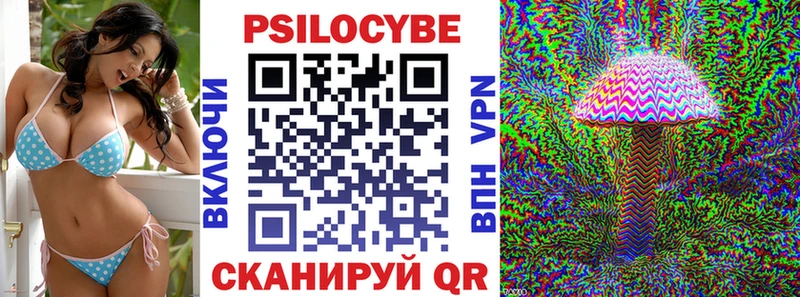 закладка  Ак-Довурак  Псилоцибиновые грибы Magic Shrooms 